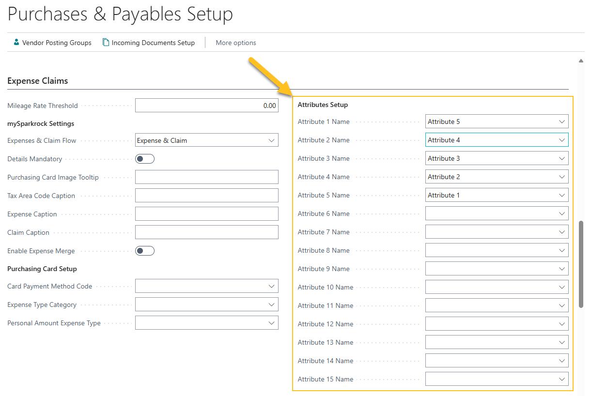 Purchases & Payables Setup page Attribute Setup