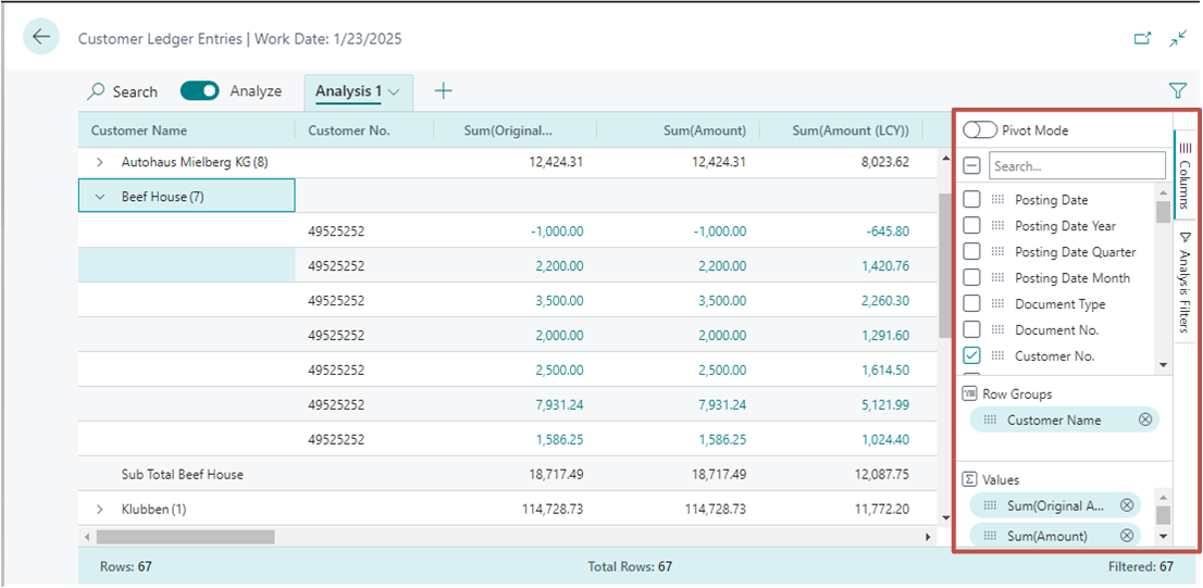 Shows an overview of the columns pane in the data analysis mode