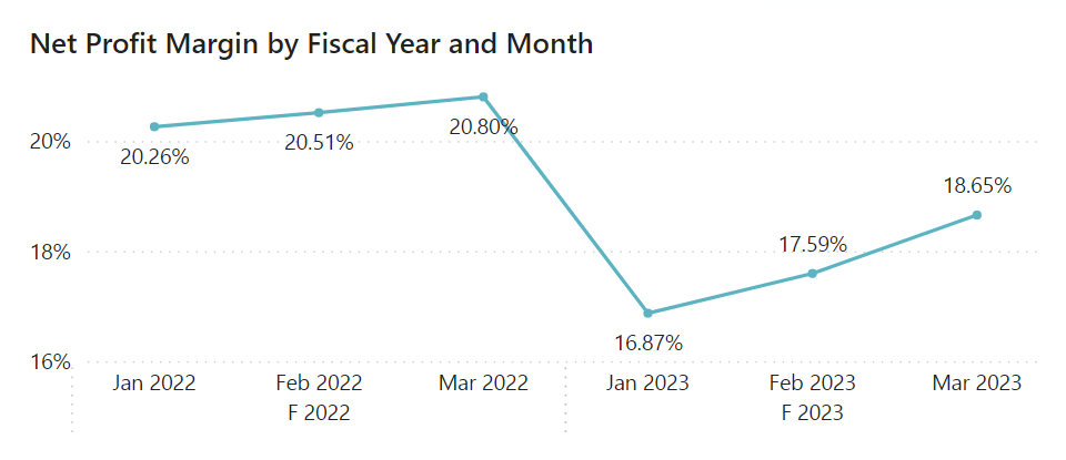 Screenshot of the Net Profit Margin visual