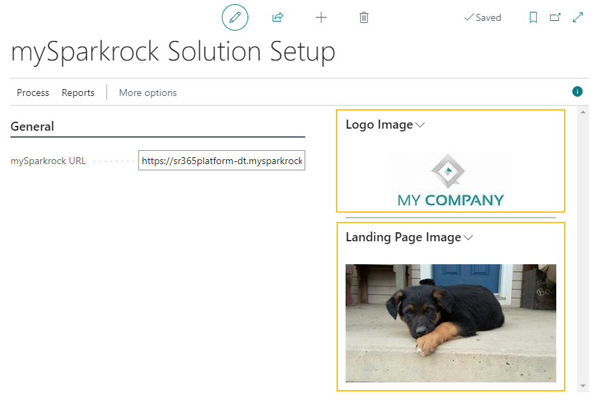 mySparkrock Solution Setup page Logo Image and Landing Page Image FactBoxes