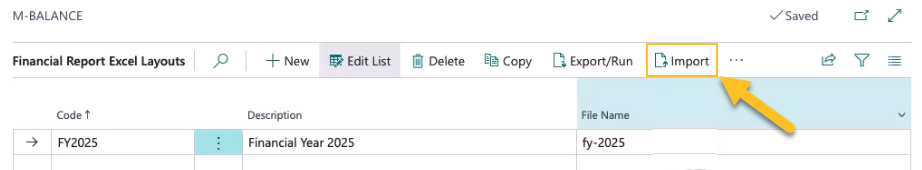 Financial Report Excel Layouts page Import action