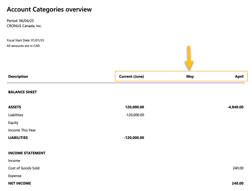 Account Categories overview report after example