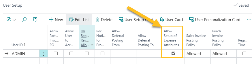 User Setup page Allow Setup of Expense Attributes field